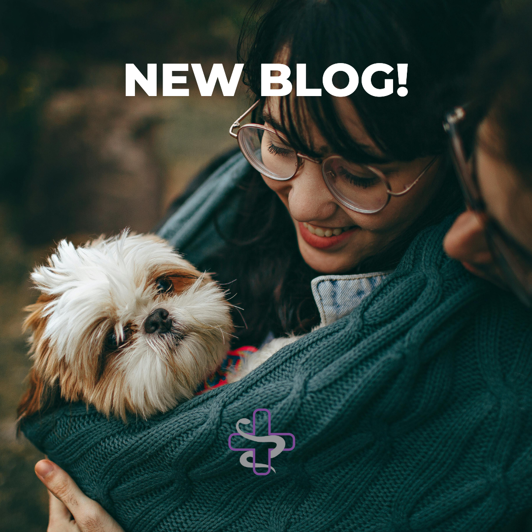 NEW BLOG!